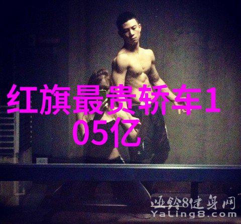 龙族的守护者传说中的火焰与冰霜