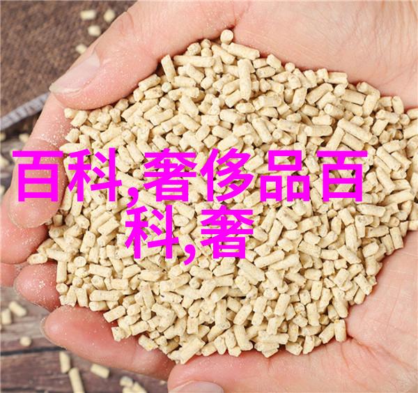时尚魅力男士发型的清新之道