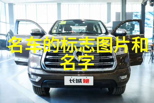 想要打造一个温馨的家居环境还是离不开小装饰品