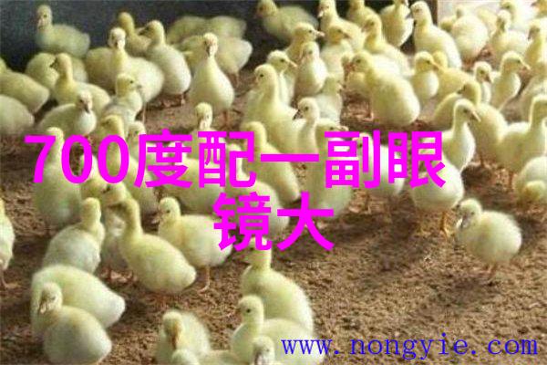 广州宜家家居引领生活风尚OC开合清新生活的细水长流