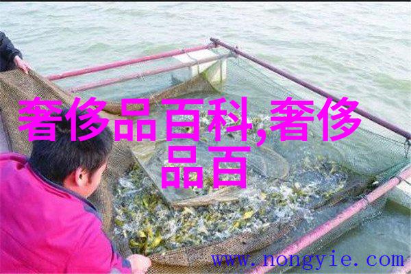 主题我和Bibi的故事从小伙伴到永远的朋友