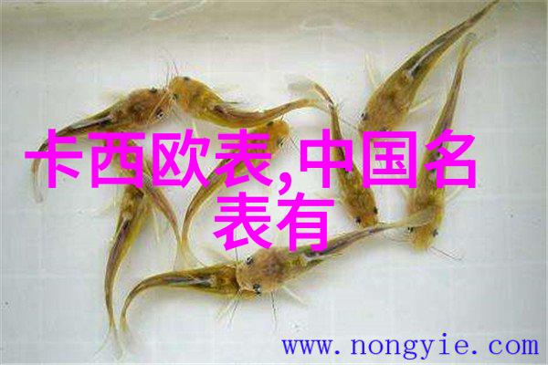 幻想之翼翱翔在茫茫星空的旅人