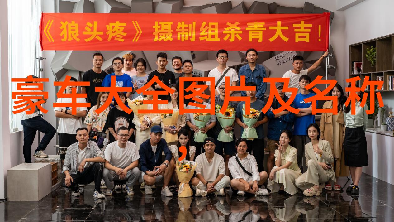 探索一抽一出BGM免费60秒视频的魅力