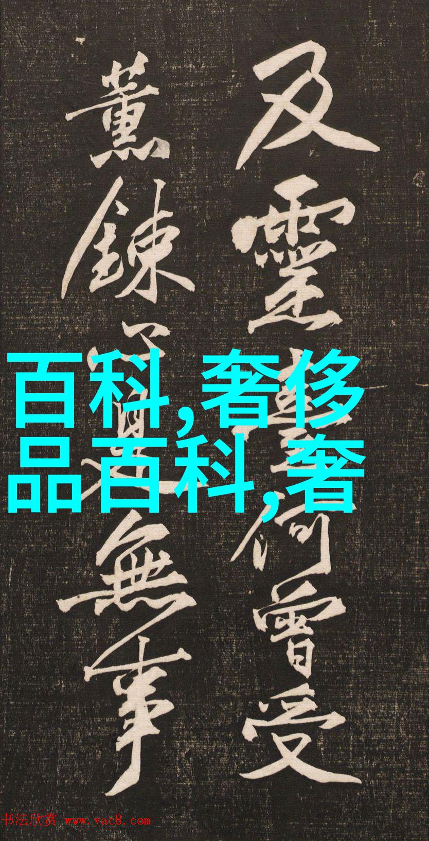 2023年最潮流的烫发风格从直发到波浪时尚界的新宠儿