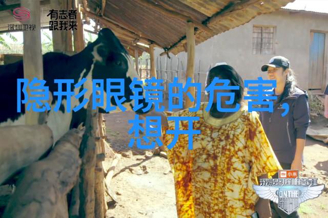 杰尼轩诗梦想与文字的交响篇章