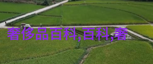 休闲套装轻松时尚的完美选择