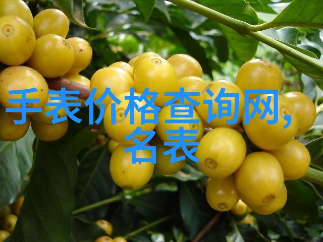 时尚模特秀我的穿搭大冒险