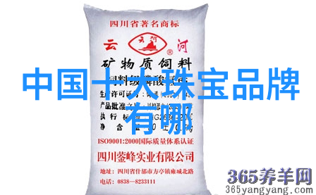 美丽姑娘的自由之翼