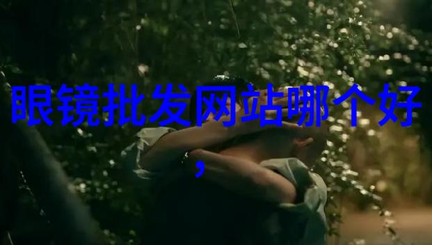 夜晚10大禁用B站免费-守护夜晚的自由揭秘十大Bilibili视频内容准则