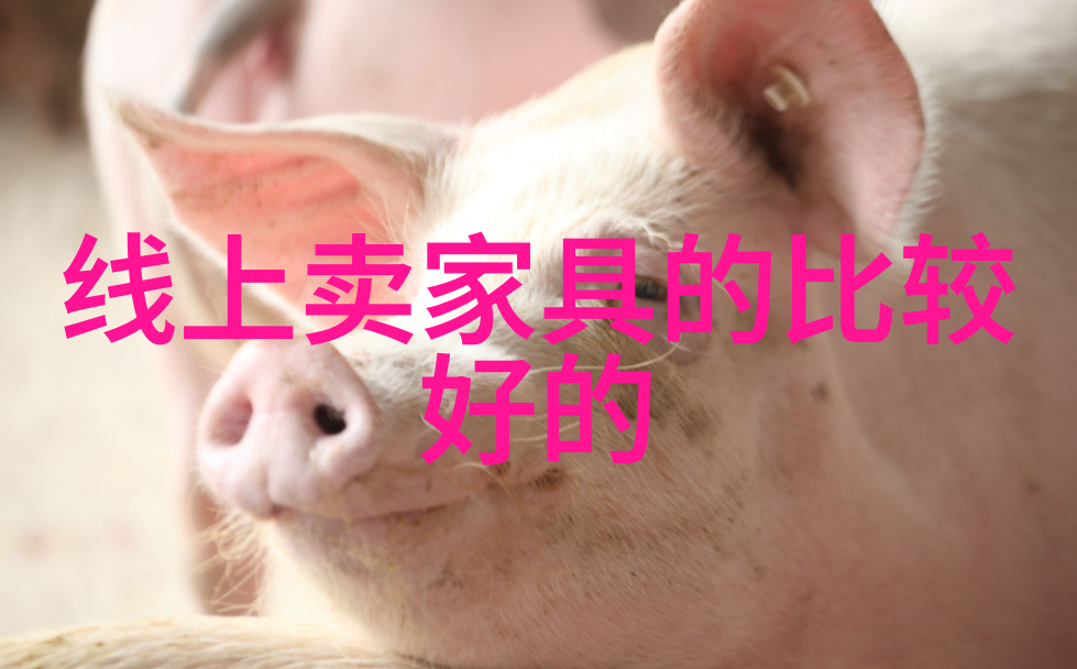4.5天工作制的未来效率与人性之间的平衡