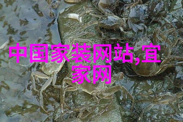 高级美发培训班我要成为一名真正的 hairstylist master