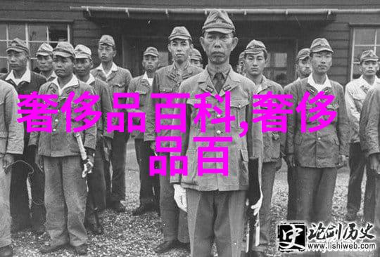 课堂之外的冒险坐在教授的棒棒上写作业
