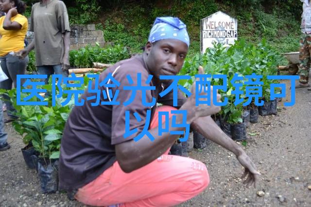 夜幕低垂星辰隐匿在深邃的天际之中世界仿佛被一层温柔的暮色所覆盖在这个瞬间一切都显得那么宁静而又充满了