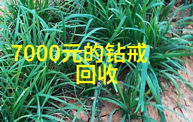 学长的根茎下一个奇异写作夜的视频纪实