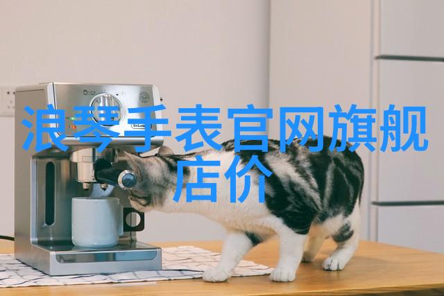 超凡飞驰的传奇续章幻影驾驭者的秘密世界