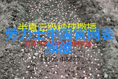 学美容美发哪里好专业美容院推荐