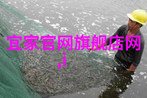 未曾相识的故事人生中的意外邂逅