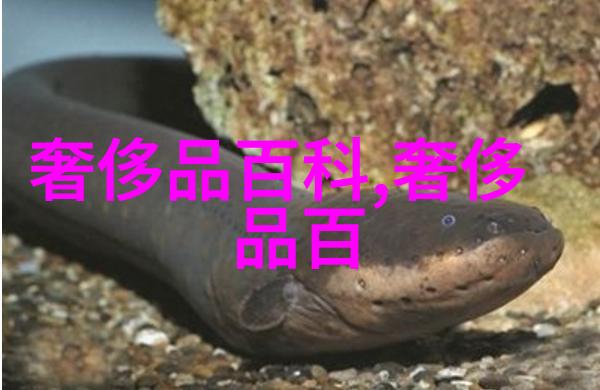 日产精品卡二卡三卡四妈妈的朋友-乘坐日产之旅探秘二三四卡的魅力与妈妈朋友的故事