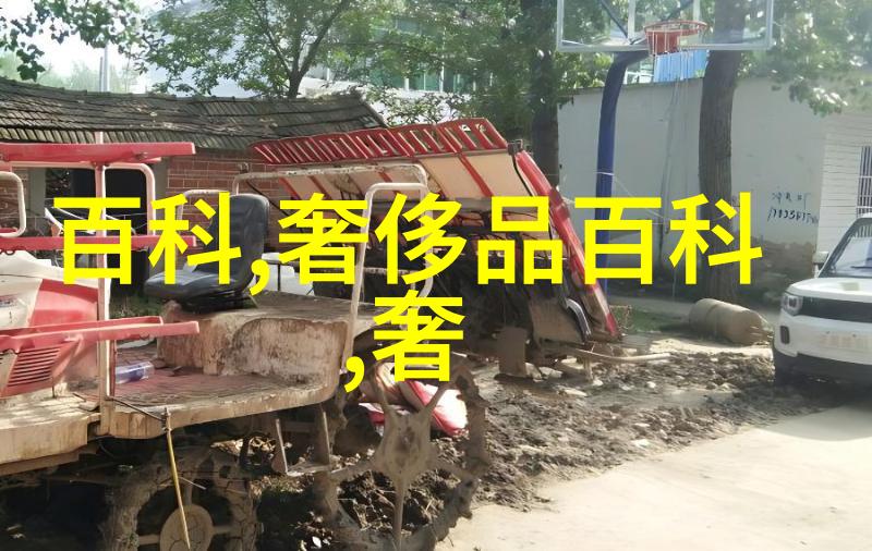 在这片被落叶铺金的乡村里他是如何成为型男的
