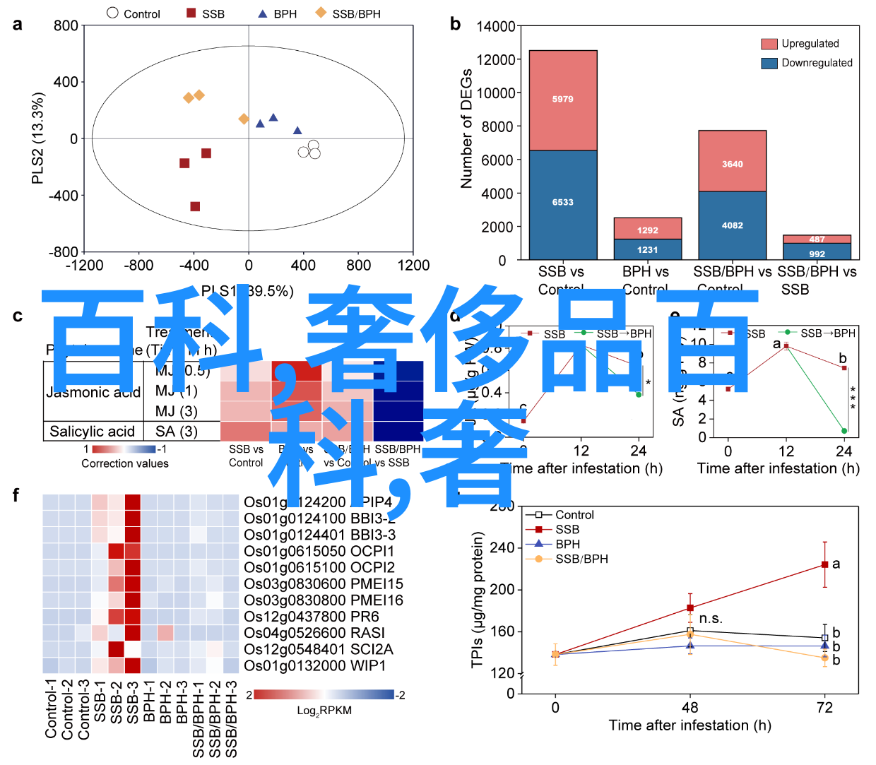 昏嫁txt新浪我的婚礼闹剧怎么就这么倒霉