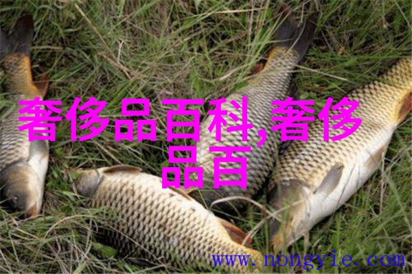 施华洛世奇在璀璨的自然光芒下展现125年辉煌2020秋季系列如同星辰般闪耀独具匠心的珠宝店天籁之恋以