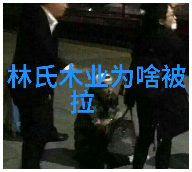 神秘的游戏盒背后的谜题与未来之城