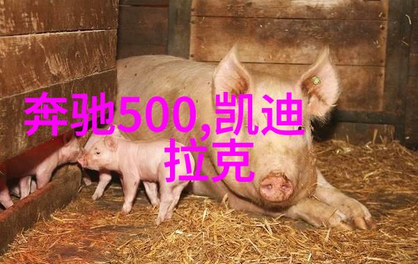 搞机时间免费下载软件不用应用商店