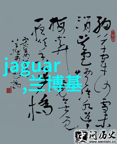 从乱毛到秀发我如何用一把剪刀和无尽的勇气变身为美发教程明星