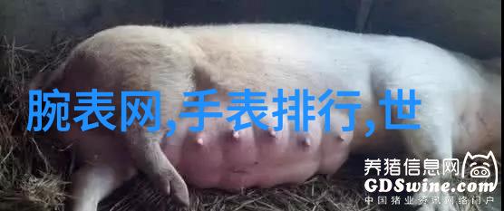 第一次做攻怎么帮零开 - 攻略指南初次担当角色助力搭档成功