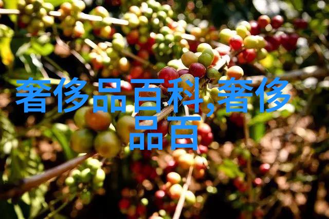 2am守夜的孤寂与黎明前的梦想