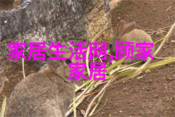 从小到大跟随一位12岁女孩的古风发型变迁故事