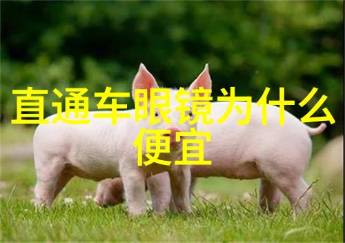 珠宝结合腕表的组合套装有新意