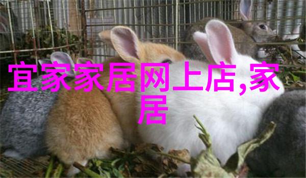 冬季潮男时尚指南搭配技巧与热门单品推荐