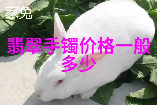 都市仙游我是如何在咖啡店偶遇神仙的