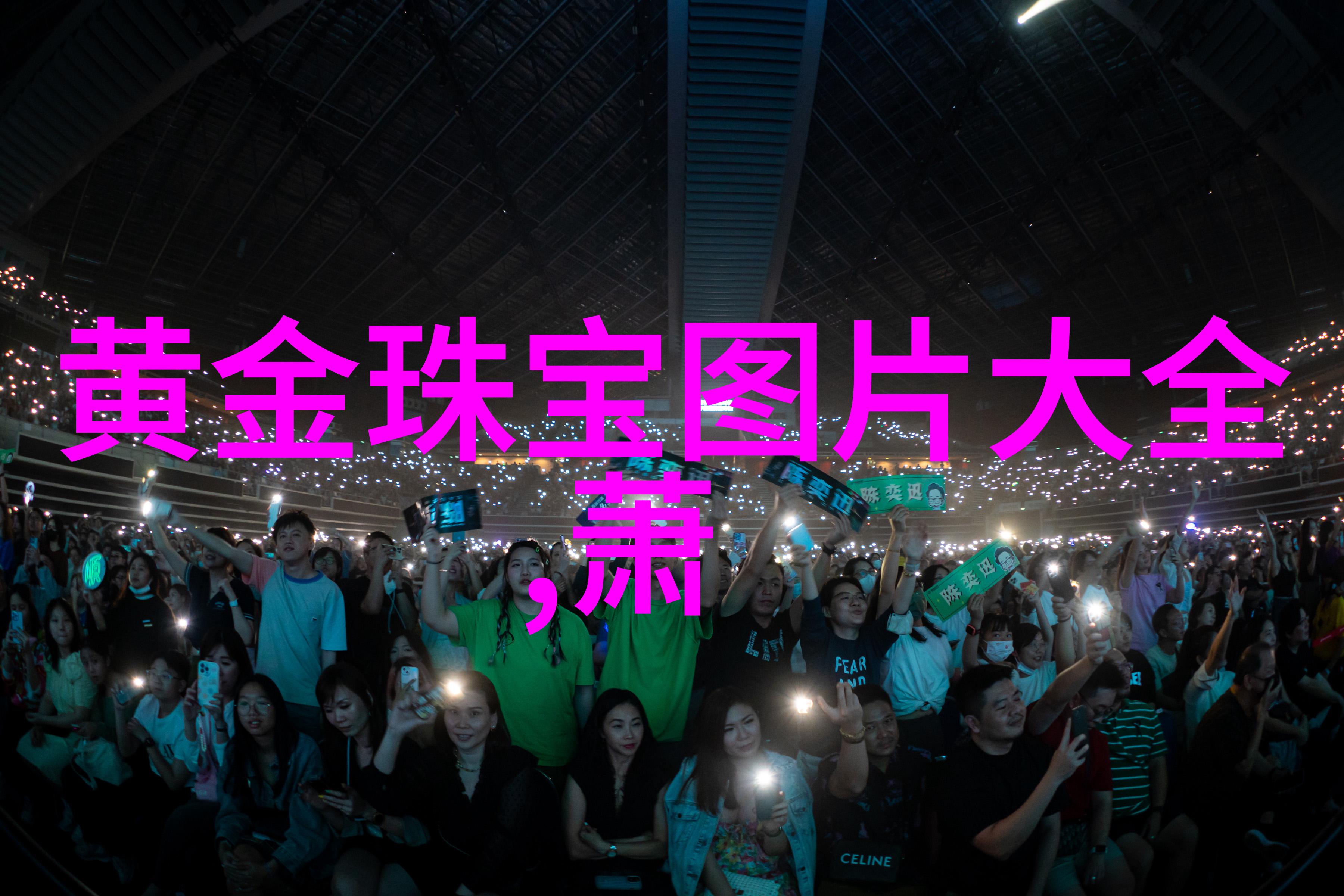 苏家有女孤影对抗五敌的传奇