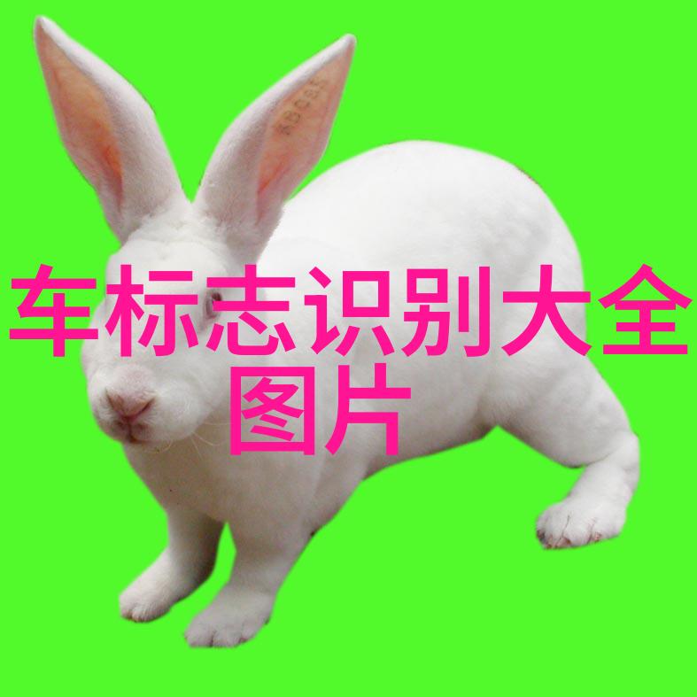 如何根据裤子的宽松程度选择合适的鞋款