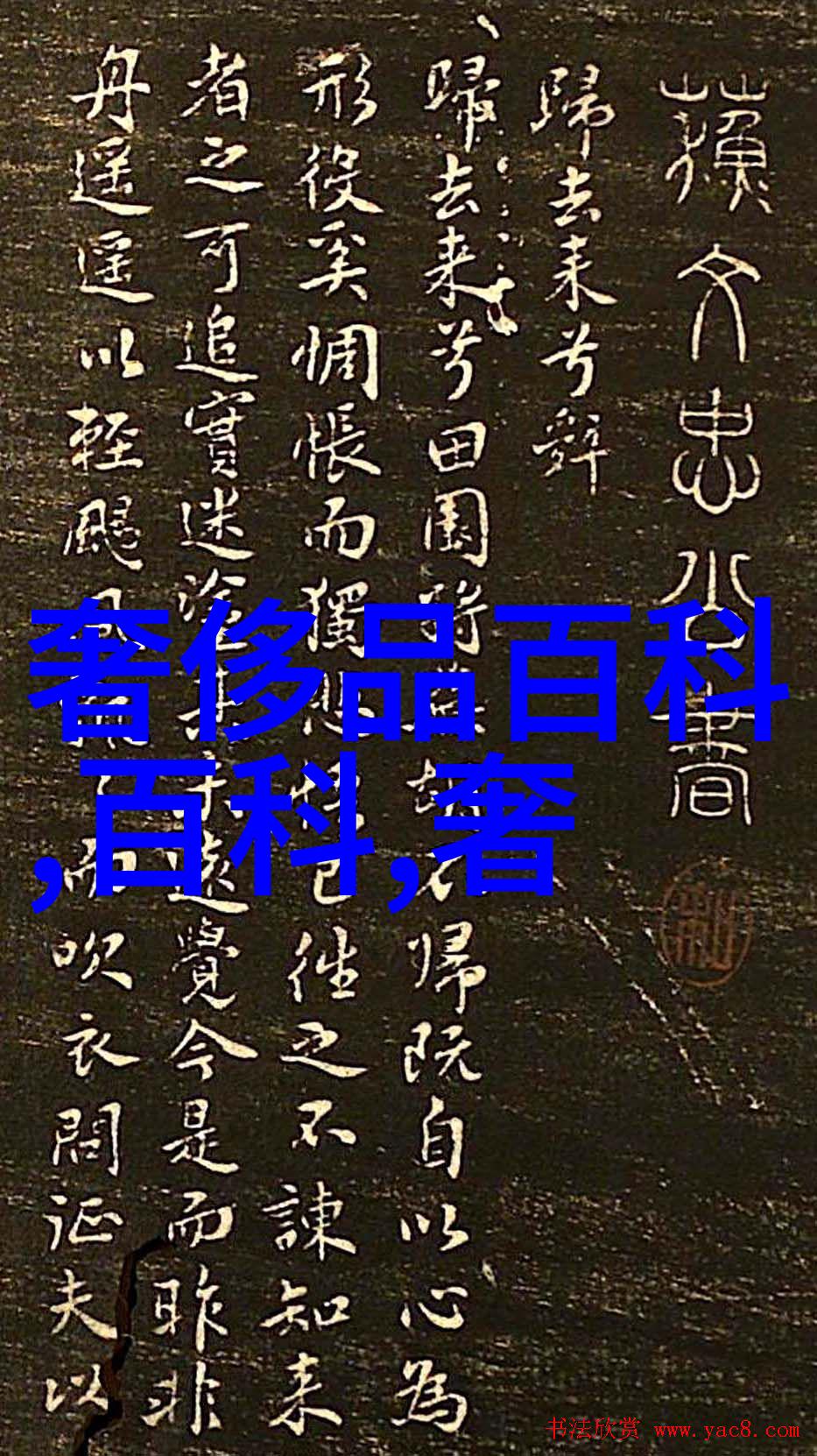 新一代美妆达人如何通过发型塑造个性魅力
