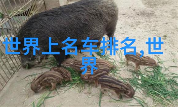 健康生活指南39健康网带你走向活力每一天