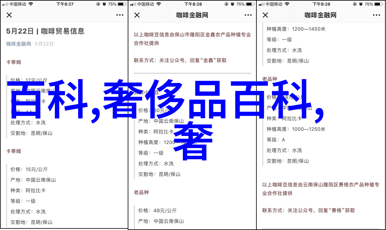 解锁香水秘密Chloe香水热门问答让你成为专家