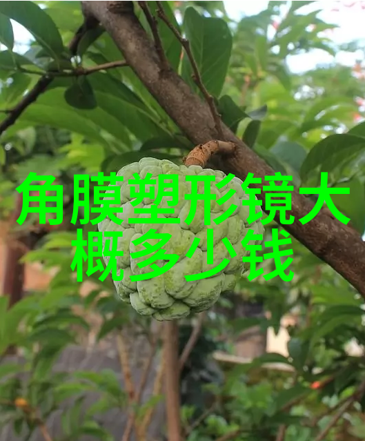 血瞳妖巫-深渊之眼血瞳妖巫的诅咒与复仇