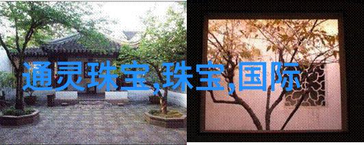 小说全文阅读深度探究与情感共鸣