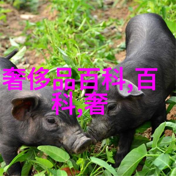 电影真实身份曝新剧照 横滨流星与紧张物品对峙成全高清视频免费观看