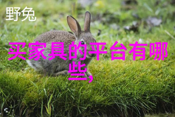 日元的足迹2万日元旅行记