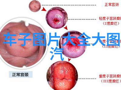 森林深处的小木屋秘密探索大自然的隐逸生活