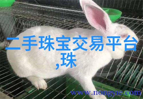 探秘糖心出品VLOG新篇章一区二区的独特魅力