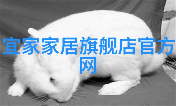 超凡肉体揭秘重生者的超级禽系统