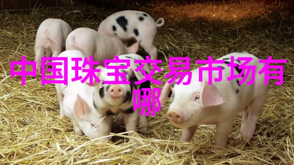 华为智能眼镜四代引领3昇有型全磁时代30荣耀发布盛宴