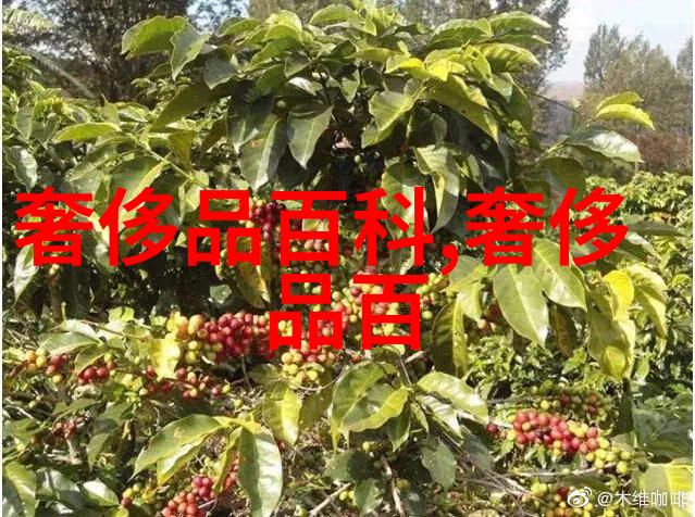 施华洛世奇庆祝120周年新书探索回收黄金价值的故事人物点亮2022年的财富之旅