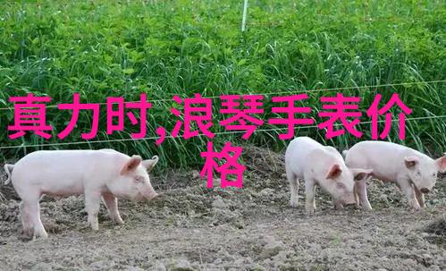 美女董事长刘畅如同家居照片般温馨做客KIC赫曼德