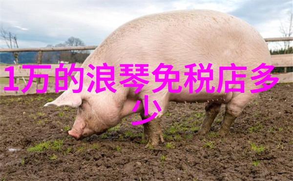 漂亮的女邻居4伦理我是如何被美丽邻居的善举感动到流泪的